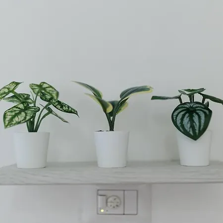 Nel Cuore Del Centro, Free Wi-fi E Netflix * Osimo