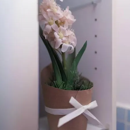 Nel Cuore Del Centro, Free Wi-fi E Netflix *